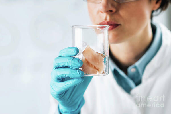 Sensory Art Print featuring the photograph Quality Control Inspector Testing Fish #6 by Microgen Images/science Photo Library