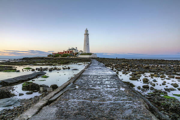 St Mary's Lighthouse Art Print featuring the photograph St Mary's Lighthouse - England #6 by Joana Kruse