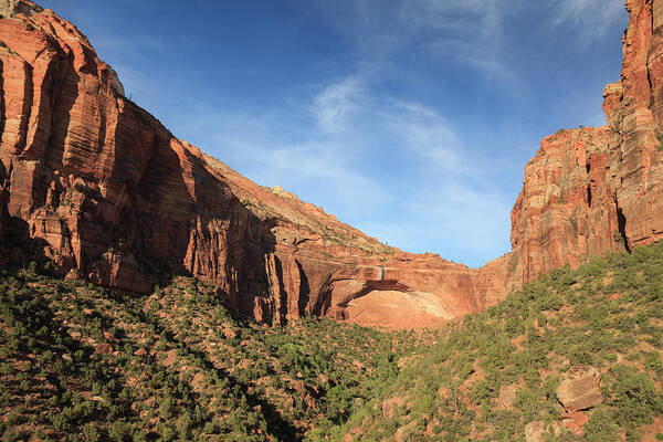 Tranquility Art Print featuring the photograph Zion National Park #6 by Michele Falzone