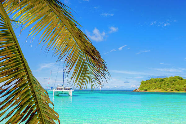 Water's Edge Art Print featuring the photograph Salt Whistle Bay, Mayreau #7 by Argalis