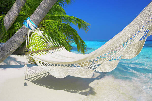 Empty Hammock On Beach Art Print featuring the photograph 795-2 by Robert Harding Picture Library