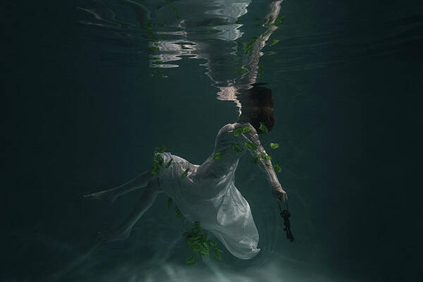 Underwater Art Print featuring the photograph * #9 by Olga Barantseva