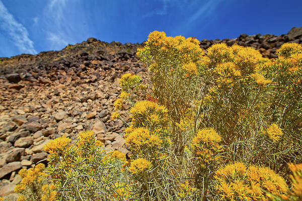 Idaho Art Print featuring the photograph Idaho Landscape #9 by Dart Humeston