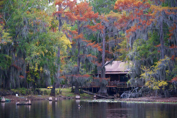 Karnack Texas Art Print featuring the photograph A Bayou Retreat by Lana Trussell