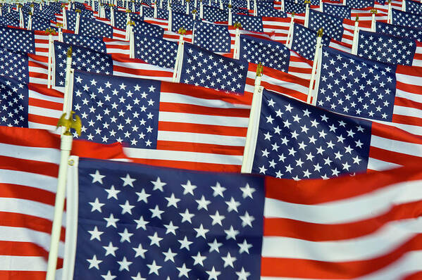 Outdoors Art Print featuring the photograph A Field Full Of Us Flags by Donovan Reese