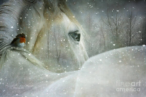 Winter Art Print featuring the photograph A Midwinters Dream by Kira Bodensted
