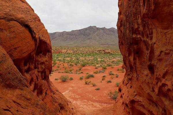 Valley Of Fire State Park Art Print featuring the photograph A New World by Maria Jansson