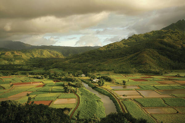 Tranquility Art Print featuring the photograph A Patchwork Of Farm Plots In Hawaii by Michael Sugrue