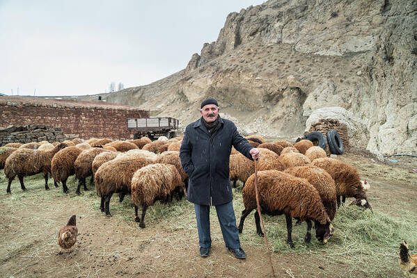 Turkey Art Print featuring the photograph A shephard in Turkey by Kamran Ali