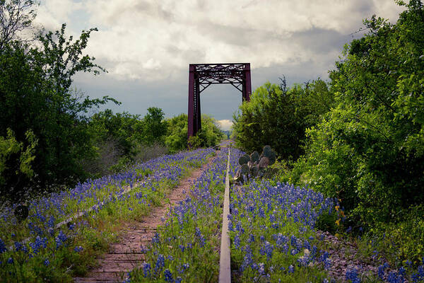 Bridge Art Print featuring the photograph Abandoned Tracks by David Morefield