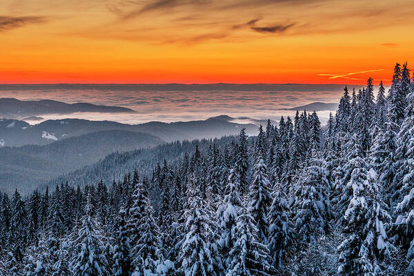 Bulgaria Art Print featuring the photograph Above Ocean Of Clouds by Evgeni Dinev