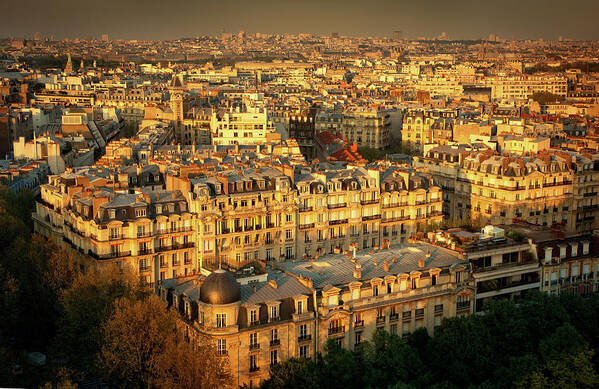 Scenics Art Print featuring the photograph Aerial View Of Paris by Nikada