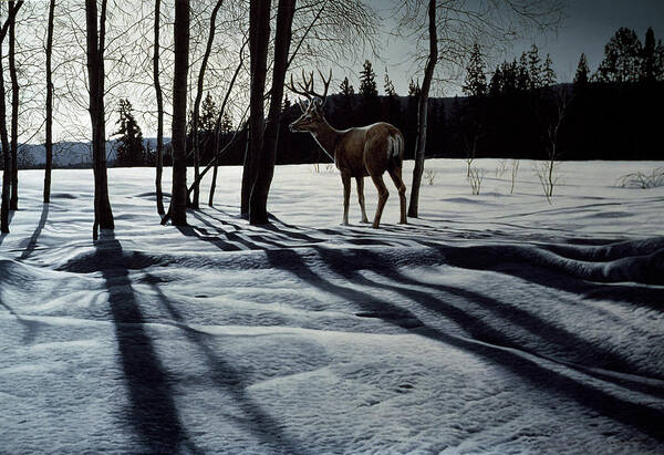 A Buck Stands Alone In A Field On A Late Art Print featuring the painting Afternoon Shadows- Mule Deer by Ron Parker