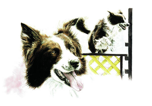 Commissioned Agility Collie Watercolour Art By Patrice Art Print featuring the painting Agility Border Collie by Patrice Clarkson