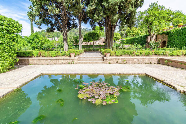 Alhambra Art Print featuring the photograph Alhambra Pool by Douglas Wielfaert