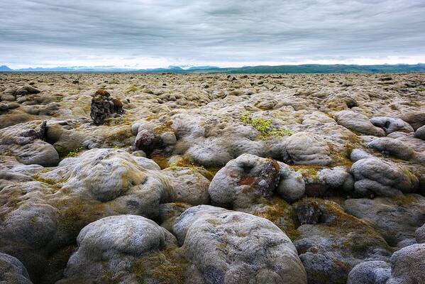 Landscape Art Print featuring the photograph Alien Iceland Landscape With Lava Field by Ivan Kmit