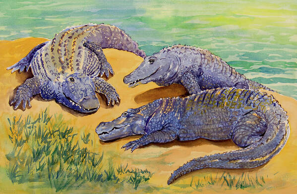 Alligator Art Print featuring the painting Alligator Storytime by Margaret Zabor