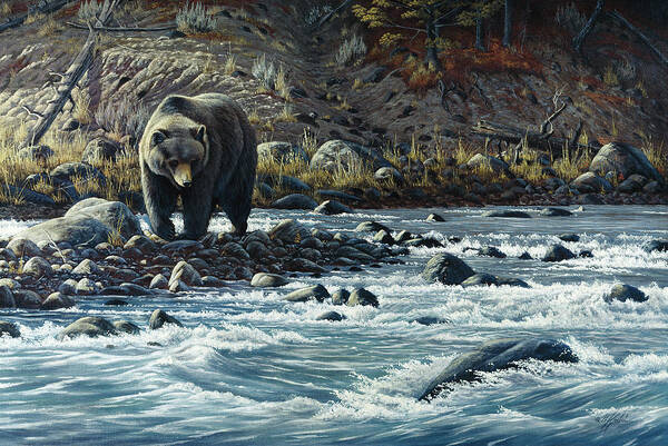 Grizzly Walking Along The Yellowstone River Art Print featuring the painting Along The Yellowstone - Grizzly by Wilhelm Goebel