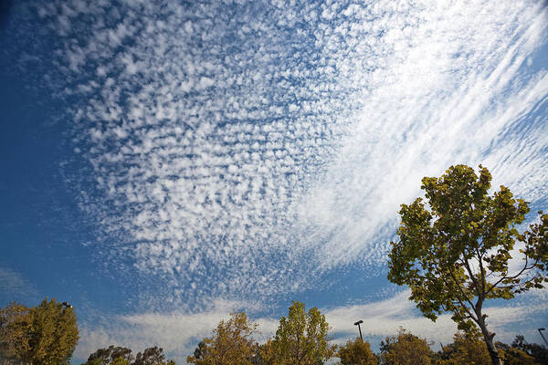 Scenics Art Print featuring the photograph Alto Cumulous Clouds by Sean Duan