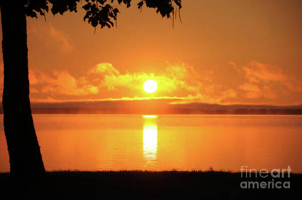 Sunrise Art Print featuring the photograph Ambrosia by Marianne Kuzimski