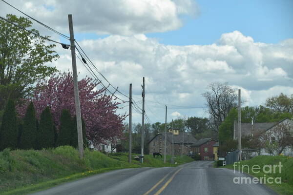 Amish Art Print featuring the photograph An Amish Spring Drive by Christine Clark