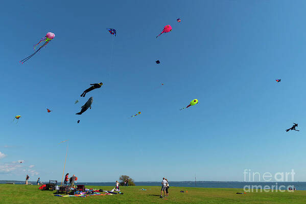 Kite Art Print featuring the photograph And Not One Tangle by Joe Geraci