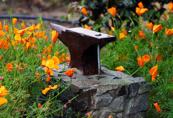 Anvil Art Print featuring the photograph Anvil in the Poppies by Anthony Jones