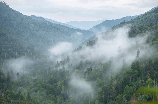 Great Smoky Mountains Art Print featuring the photograph Appalachian Morning by Steven Keys