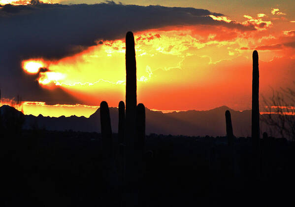 Tucson Art Print featuring the photograph Arizona Sky Glow by Chance Kafka