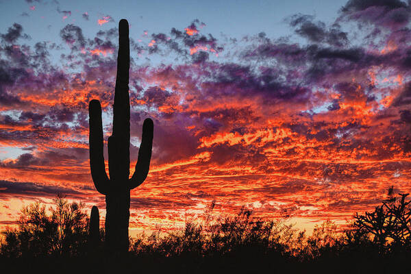 Arizona Sunset Art Print featuring the photograph Arizona Sunset by Chance Kafka