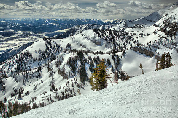 Rendezvous Bowl Art Print featuring the photograph At The Jackson Hole Treeline by Adam Jewell