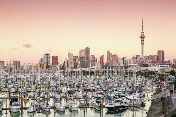 Downtown District Art Print featuring the photograph Auckland City And Harbour At Sunset by Matteo Colombo