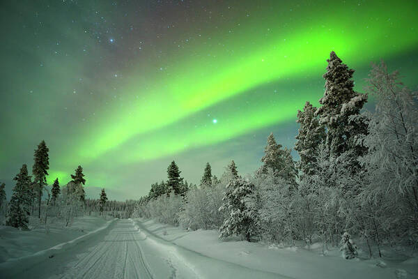 Snow Art Print featuring the photograph Aurora Borealis Over A Track Through by Sara winter