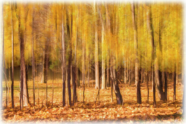 Trees Art Print featuring the photograph Autumn Dreaming by Cathy Kovarik