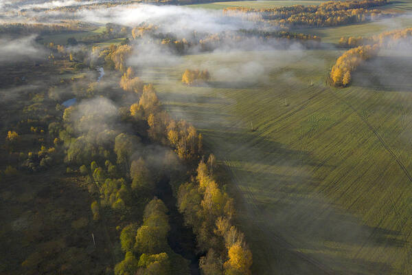 Drone Art Print featuring the photograph Autumn Fogs by Dmitry Doronin