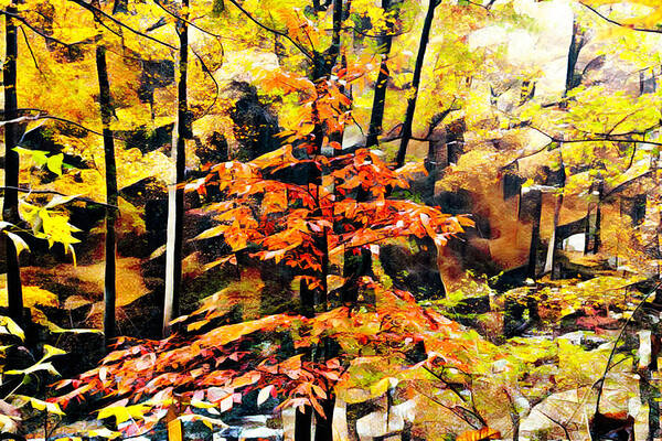 Fall Art Print featuring the photograph Autumn Forest Leaves Abstract by Debra and Dave Vanderlaan