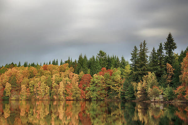 Autumn Art Print featuring the photograph Autumn Tree Reflections by Grant Glendinning