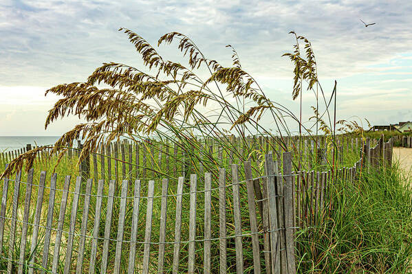 Ocean Art Print featuring the photograph Avalon Sea Grass 2 by Donna Twiford