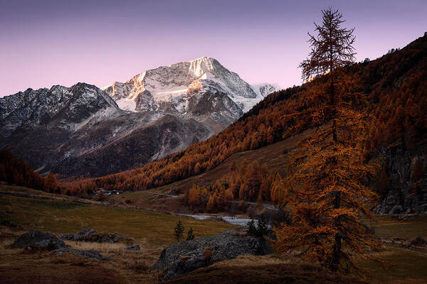 Lake Art Print featuring the photograph Awakening by Dominique Dubied