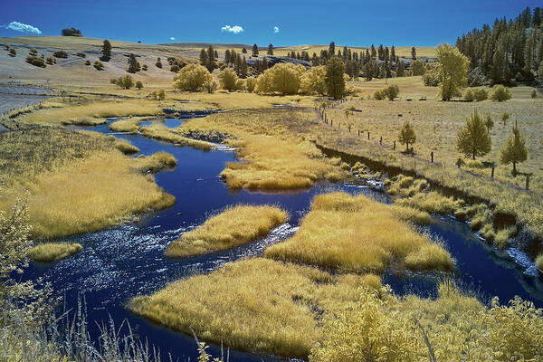 Palouse Art Print featuring the photograph Back River in the Palouse by Jon Glaser