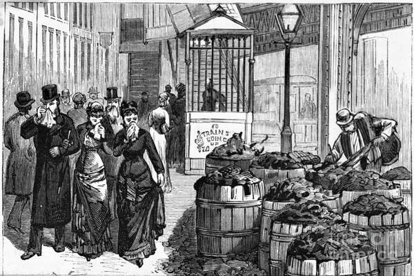 Etching Art Print featuring the photograph Bad Street Sanitation by Bettmann