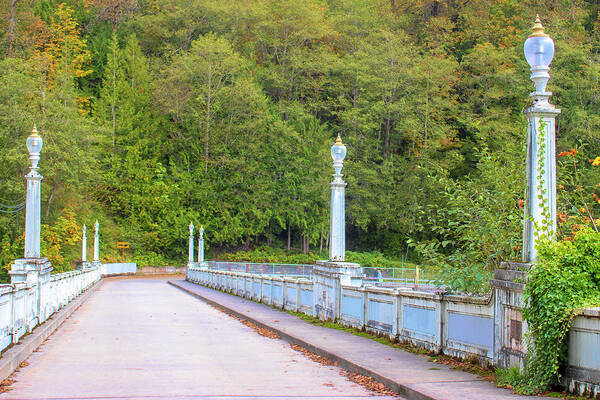 Baker River Bridge Art Print featuring the photograph Baker River Bridge Washington by Cathy Anderson