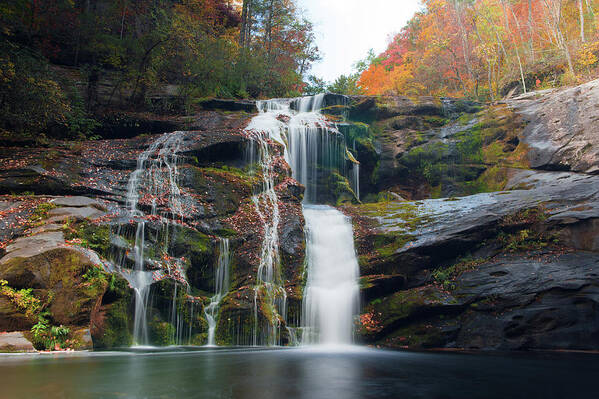 Trees Art Print featuring the photograph Bald River Falls Basin by Joe Leone