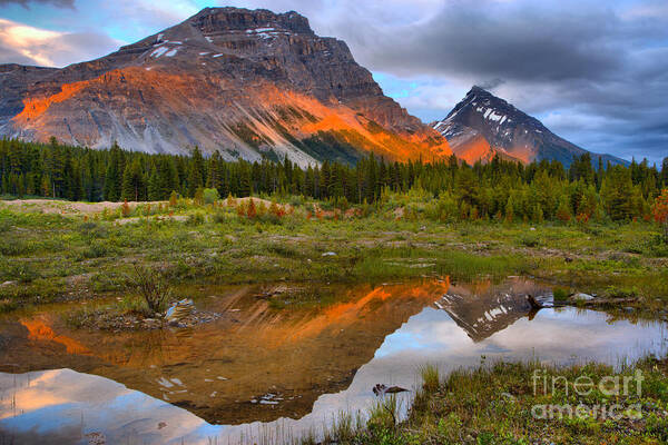 Canadian Rocky Mountains Art Print featuring the photograph Banff Pond Sunset Reflections by Adam Jewell