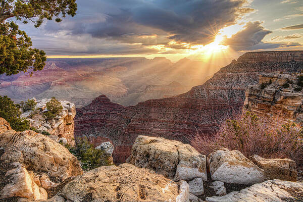 Grand Canyon Art Print featuring the photograph Bathed in Light by Judi Kubes