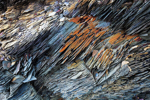 Heike Odermatt Art Print featuring the photograph Batsfjord Rocks And Lichen by Heike Odermatt