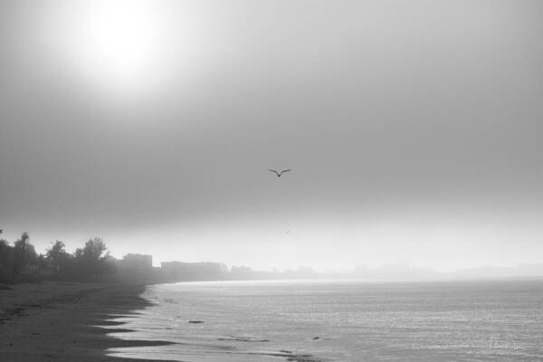 Ft Myers Beach Art Print featuring the photograph Beach Fog by Nunweiler Photography