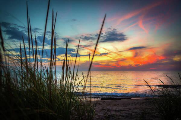 Beach Art Print featuring the photograph Beach Grass Sunset by Owen Weber