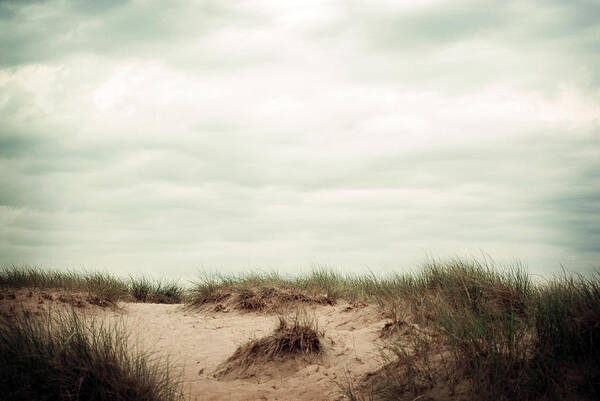 Sand Dunes Art Print featuring the photograph Beaches by Michelle Wermuth