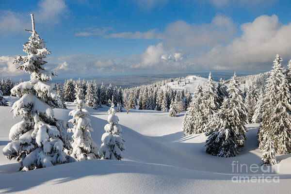 Sky Art Print featuring the photograph Beautiful Snowy Landscape firs by Godin Stephane